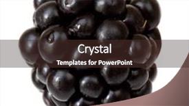  Presentation with blackberry - PPT theme consisting of macro-of-single-blackberry-isolated background and a tawny brown colored foreground