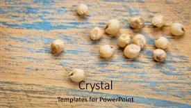  Presentation with sorghum - PPT theme with macro of sorghum grain against grunge painted wood background and a coral colored foreground