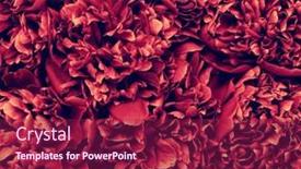  Presentation with floral abstract - Theme consisting of macro-of-spring-flowers-abstract and a violet colored foreground