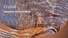  Presentation with skin - Presentation enhanced with macro-of-the-skin-texture background and a gray colored foreground