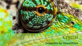  Presentation with reptile - Theme having macro-on-a-reptile-eye background and a  colored foreground