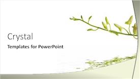 Presentation with bud - PPT theme consisting of macro-orchid-flower-with-bud background and a white colored foreground
