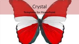  Presentation with butterfly - Colorful PPT layouts enhanced with macro photo of butterfly backdrop and a red colored foreground