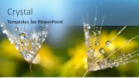  Presentation with spring water - Colorful slide deck enhanced with macro-photo-of-dandelion-seed backdrop and a light blue colored foreground