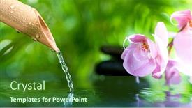  Presentation with water bamboo - PPT theme featuring macro-shot-of-leaking-water background and a forest green colored foreground