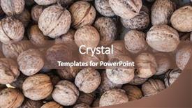  Presentation with shot - Cool new theme with macro shot of the multiple backdrop and a violet colored foreground