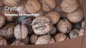  Presentation with shot - PPT layouts enhanced with macro shot of the multiple background and a violet colored foreground