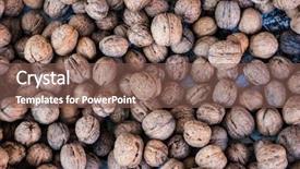  Presentation with multiple myeloma - Amazing slide deck having macro shot of the multiple backdrop and a violet colored foreground