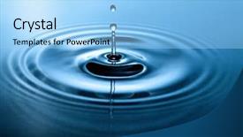  Presentation with egrets by water - Presentation design enhanced with macro shot of water circles background and a light blue colored foreground