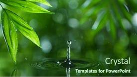  Presentation with ripple - PPT theme having macro-shot-of-water-drop background and a forest green colored foreground
