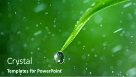  Presentation with water drop - Amazing PPT layouts having macro-shot-of-water-drop backdrop and a forest green colored foreground