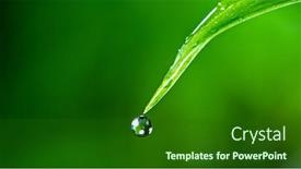  Presentation with relaxation - Colorful slide deck enhanced with macro-shot-of-water-drop backdrop and a forest green colored foreground