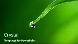  Presentation with green relaxation - Cool new PPT theme with macro-shot-of-water-drop backdrop and a forest green colored foreground