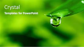  Presentation with water drop - Audience pleasing presentation theme consisting of macro-shot-of-water-drop backdrop and a shamrock green colored foreground
