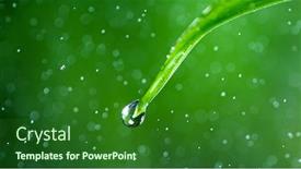  Presentation with water drop - Cool new PPT layouts with macro-shot-of-water-drop backdrop and a forest green colored foreground