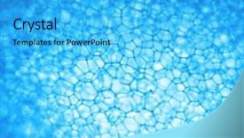  Presentation with science biology cell abstract - Beautiful slide set featuring macro texture of fibrous cell backdrop and a  colored foreground