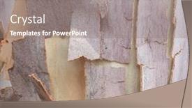  Presentation with australian - Presentation theme consisting of macro tree bark textures australian tree bark close up background and a gray colored foreground