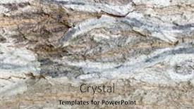  Presentation with ceiling designs abstract architecture white - Audience pleasing slides consisting of macro-tree-bark-textures-bark backdrop and a light gray colored foreground