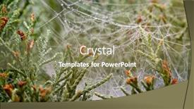  Presentation with needles - Beautiful PPT theme featuring macro-view-of-raindrops backdrop and a coral colored foreground