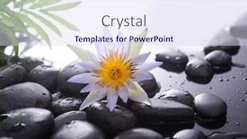  Presentation with zen stones - Presentation design enhanced with macro-white-lotus-and-zen background and a sky blue colored foreground