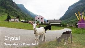  Presentation with daniel - Presentation theme consisting of macullo in collaboration with mario background and a gray colored foreground