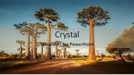  Presentation with rural road - Presentation featuring madagascar - baobab trees along the rural background and a coral colored foreground