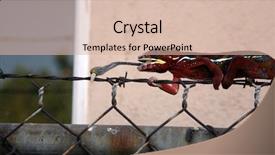  Presentation with worm - Audience pleasing presentation theme consisting of madagascar chameleon eats a silk backdrop and a lemonade colored foreground