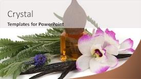  Presentation with orchids - Amazing presentation having madagascar vanilla pods exotic orchids massage oil and lavender backdrop and a light gray colored foreground