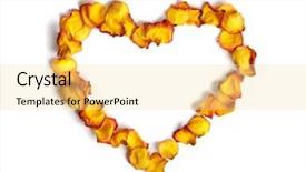  Presentation with yellow rose - Cool new presentation design with made from yellow rose petals backdrop and a blonde colored foreground