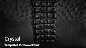  Presentation with crocodile - Cool new PPT theme with made of crocodile and ostrich backdrop and a black colored foreground