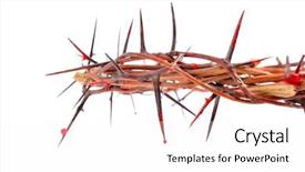  Presentation with crown thorns - Beautiful slides featuring made of thorns and blood backdrop and a white colored foreground