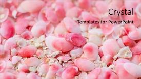  Presentation with beach wedding heart on sand - Amazing slide deck having made of tiny pink shells backdrop and a coral colored foreground
