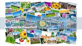  Presentation with frame - Colorful PPT theme enhanced with made of various nature photo backdrop and a teal colored foreground