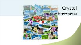  Presentation with nature diversity community - Presentation enhanced with made of various nature photo background and a light blue colored foreground