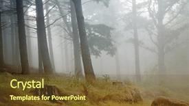  Presentation with rainforest - Cool new presentation theme with madeira rainforest of laurisilva at the mountains world heritage backdrop and a tawny brown colored foreground