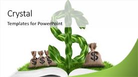  Presentation with gold dollar sign - Amazing slides having mading books - book with dollar sign made backdrop and a  colored foreground