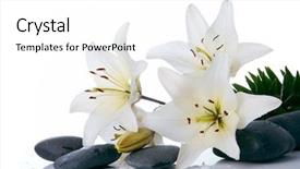  Presentation with spa - Presentation enhanced with madonna lilies with spa stone background and a white colored foreground