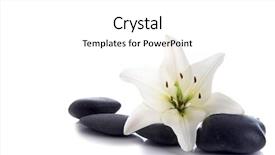  Presentation with lily - Slide set with madonna lily and spa stone background and a white colored foreground