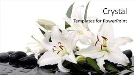  Presentation with lily - Presentation theme enhanced with madonna lily and spa stone background and a white colored foreground