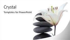  Presentation with lotus flower white water lily - Cool new slide deck with madonna lily with spa stones backdrop and a white colored foreground