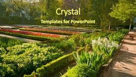  Presentation with real madrid football - Amazing PPT layouts having madrid botanic garden - real jardin backdrop and a tawny brown colored foreground