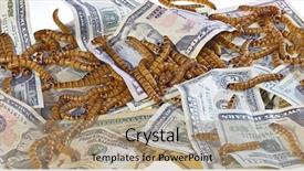  Presentation with decay - Cool new slide deck with maggots - big ugly worms crawling backdrop and a coral colored foreground