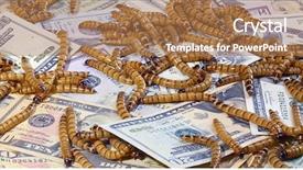  Presentation with economic - Presentation theme having maggots - economic crisis concept with money background and a coral colored foreground