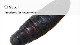  Presentation with pupa - Colorful presentation theme enhanced with mechanical - driver oils the driving gear backdrop and a dark gray colored foreground