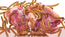  Presentation with food white - Beautiful slide set featuring maggots - wormy spoiled beef steak ugly backdrop and a red colored foreground