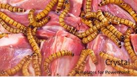  Presentation with steak - Theme featuring maggots - wormy spoiled beef steak ugly background and a coral colored foreground