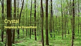  Presentation with forest - Audience pleasing presentation design consisting of magic 8 - deciduous leaf forest depths backdrop and a tawny brown colored foreground