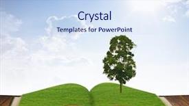  Presentation with magic book - PPT layouts with magic book with tree growing background and a sky blue colored foreground