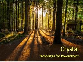 Magic Forest Forces Of Nature PPT template 29 | CrystalGraphics
