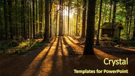  Presentation with nature award - PPT layouts consisting of magic forest - forces of nature background and a wine colored foreground